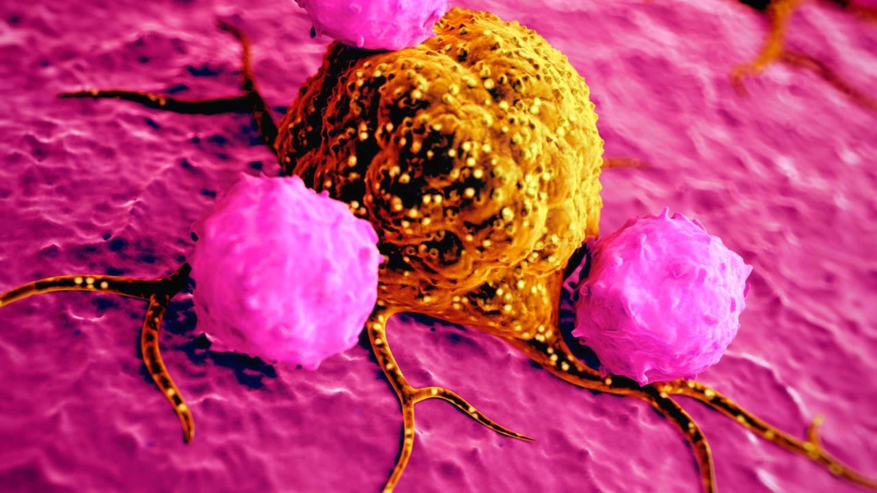 World Cancer Survivor Day: embrace fear World Cancer Survivor Day: embrace fear