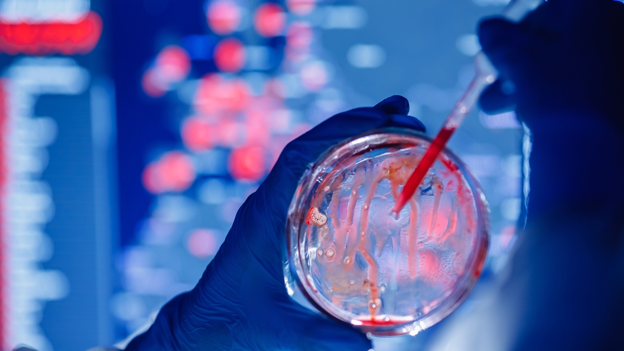 The US accuses two Chinese citizens of introducing a dangerous fungus in the country The US accuses two Chinese citizens of introducing a dangerous fungus in the country