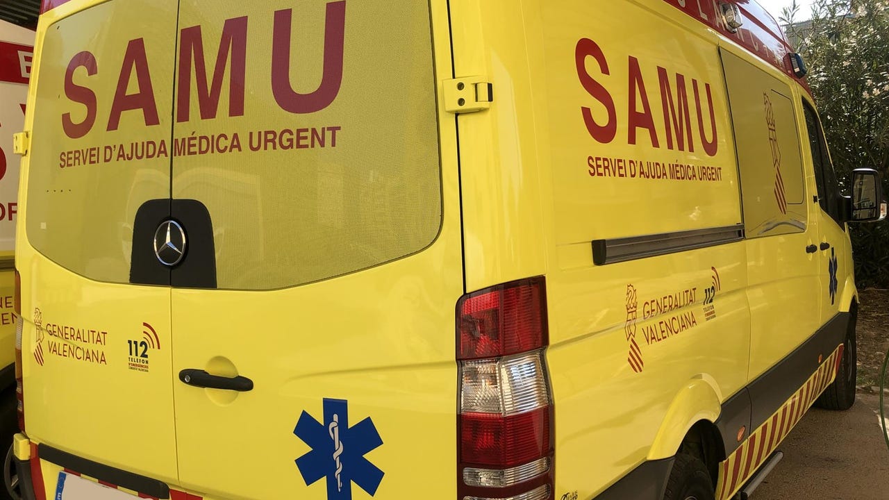 Rabies, a very sporadic disease in animals and exceptional in humans in Spain