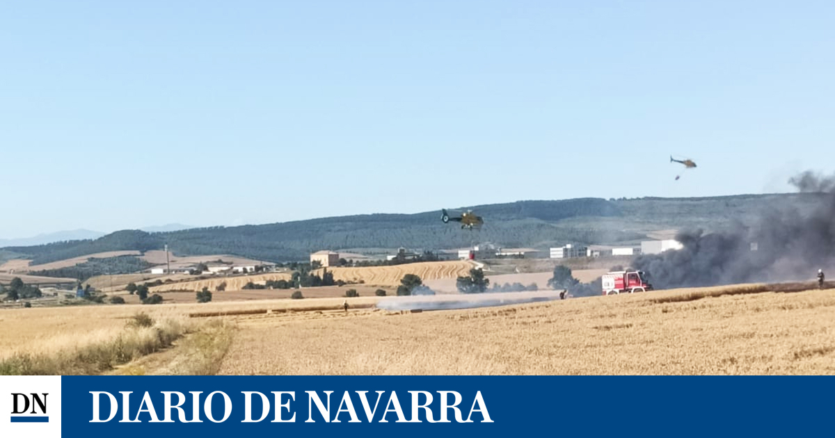A fire calcines 5,000 square meters of cereal field in Guerendiáin A fire calcines 5,000 square meters of cereal field in Guerendiáin