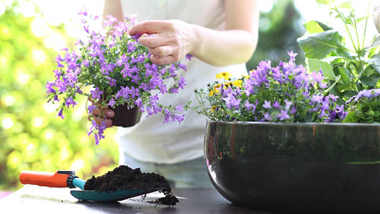 Three floors that serve as a natural atmosphere at home for summer
